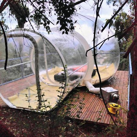 Dans Ma Bulle By C Cibeaulaos Otel Cilaos Dış mekan fotoğraf
