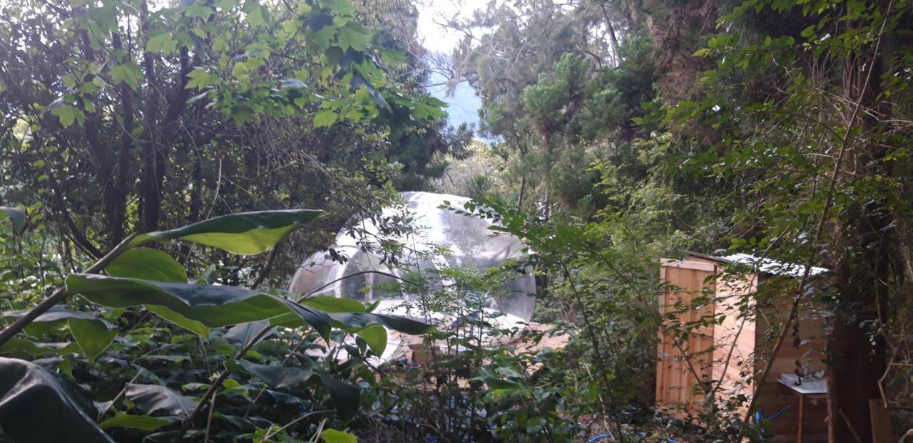 Dans Ma Bulle By C Cibeaulaos Otel Cilaos Dış mekan fotoğraf