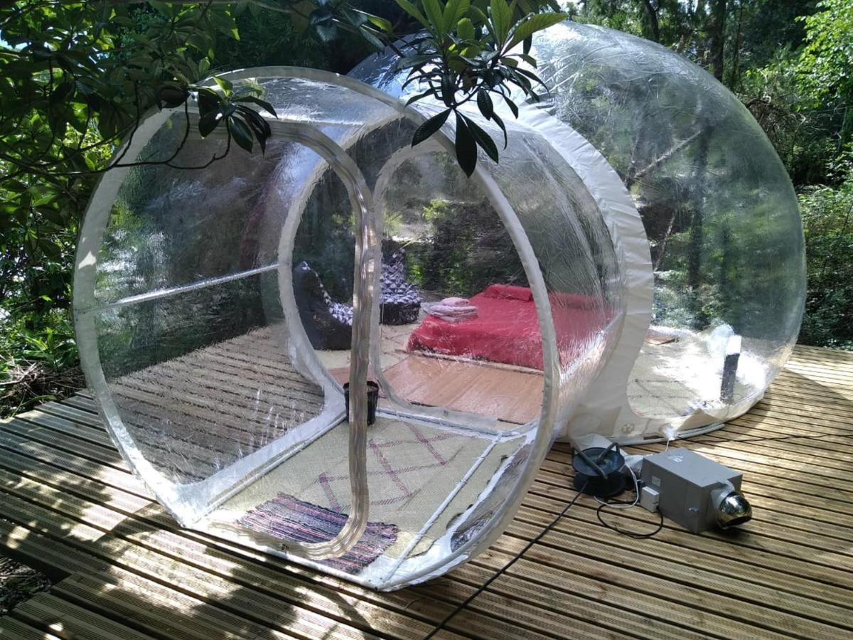 Dans Ma Bulle By C Cibeaulaos Otel Cilaos Dış mekan fotoğraf