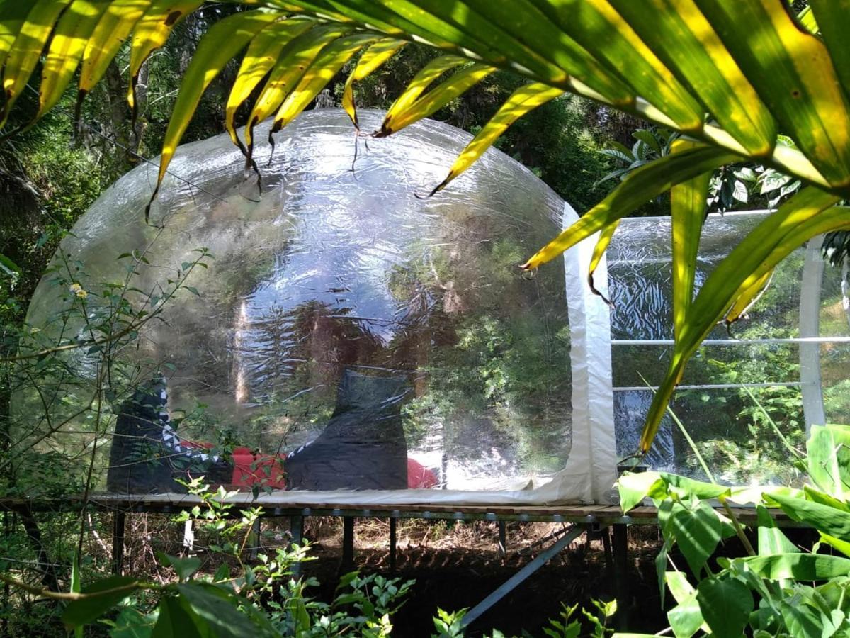 Dans Ma Bulle By C Cibeaulaos Otel Cilaos Dış mekan fotoğraf