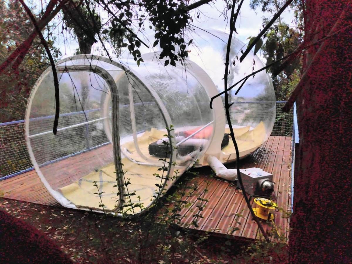 Dans Ma Bulle By C Cibeaulaos Otel Cilaos Dış mekan fotoğraf